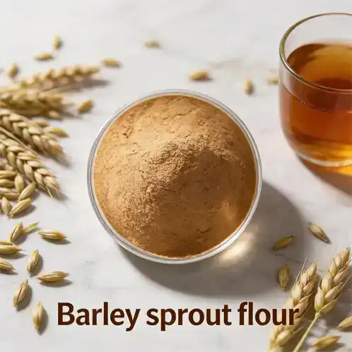 Where to Buy Premium Barley Sprout Flour in Bulk?